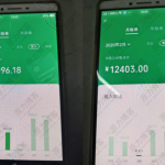 用户专享某外面售卖1800元的项目