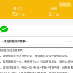 用户项目真实收益