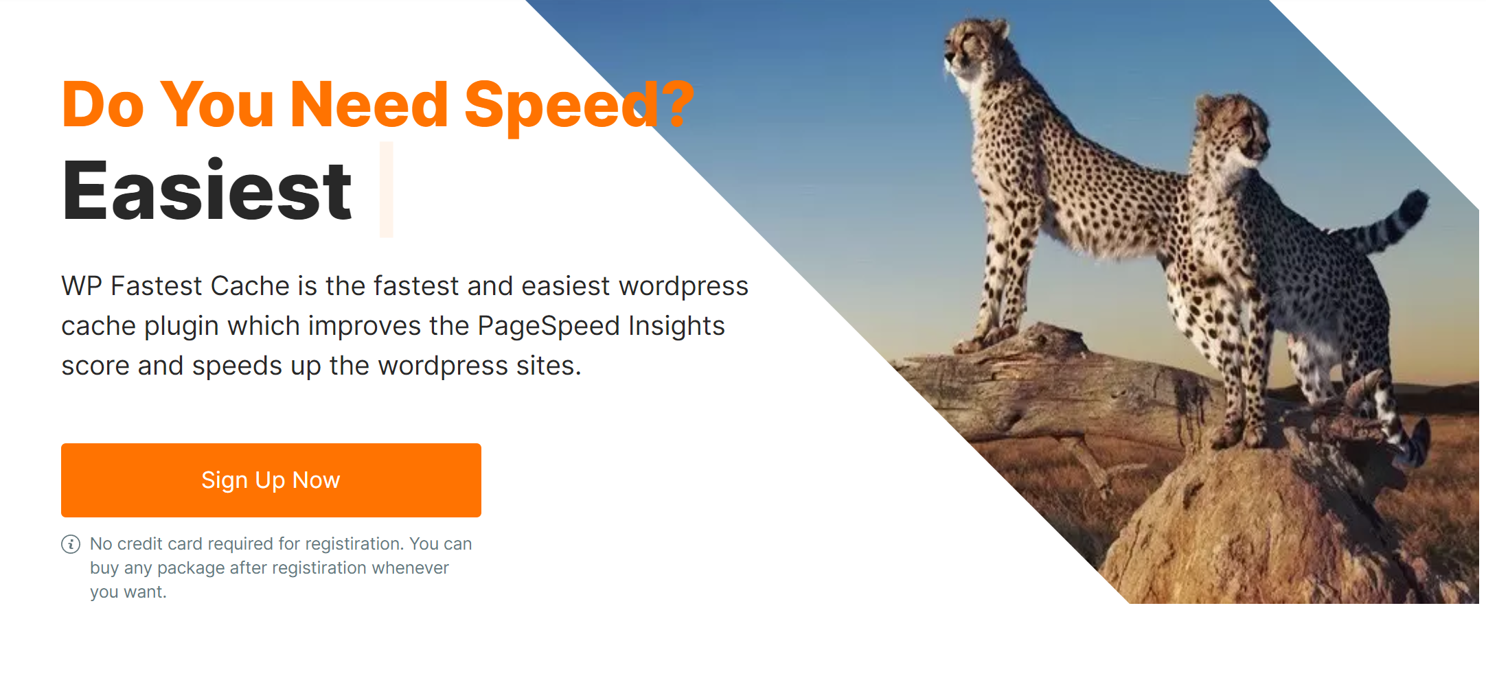 wordpress缓存插件-WP Fastest Cache Premium v1.6.2