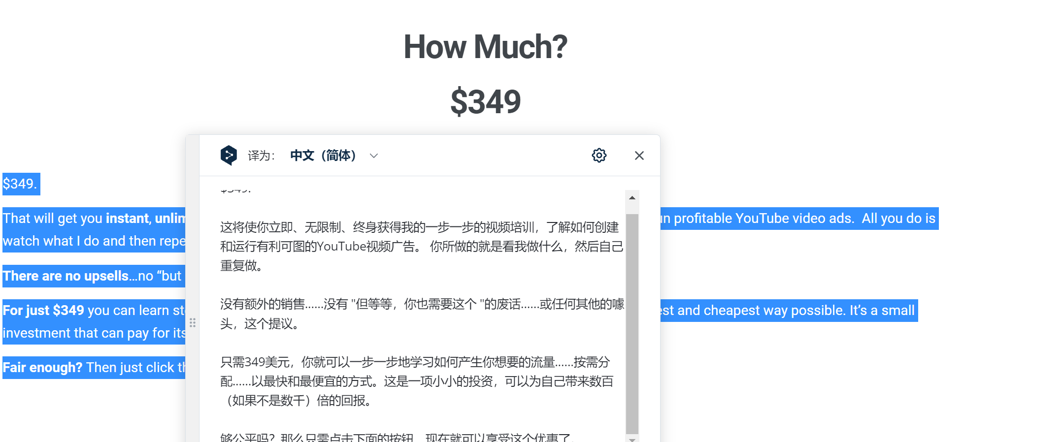 YouTube视频广告教程:YouTube Video Ads For Regular People