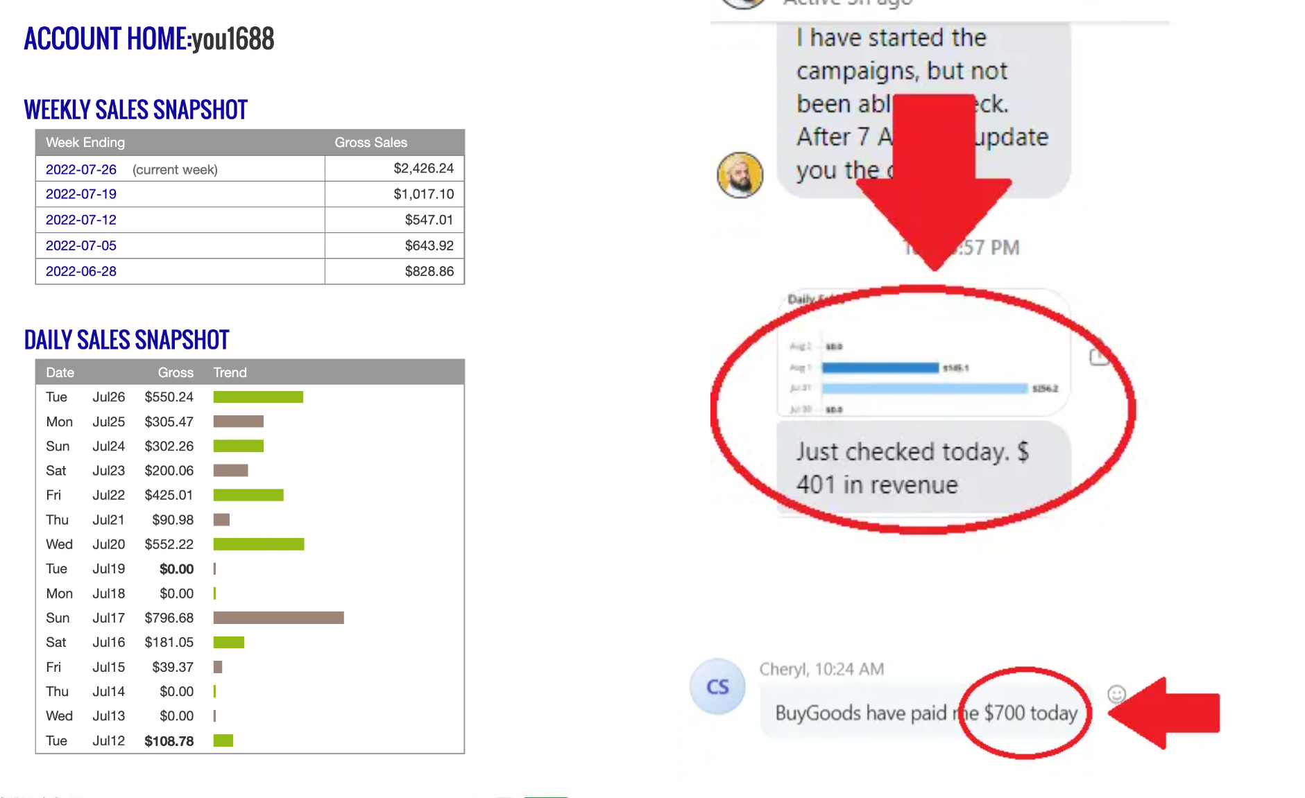 价值$497,如何建立成功的联盟营销业务:Super Affiliate Sniper